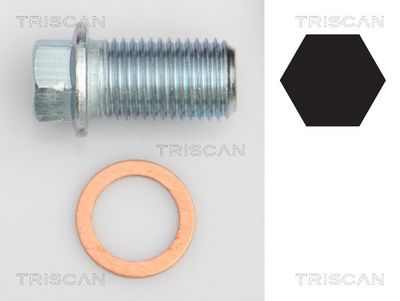 Резьбовая пробка, масляный поддон TRISCAN 9500 1012 для MERCEDES-BENZ SLS