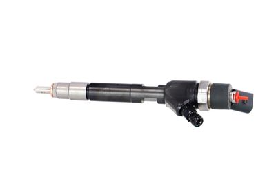 INJECTOR REMANTE 002003000150R 13