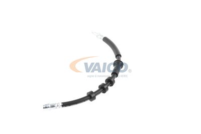 FURTUN FRANA VAICO V104209 16