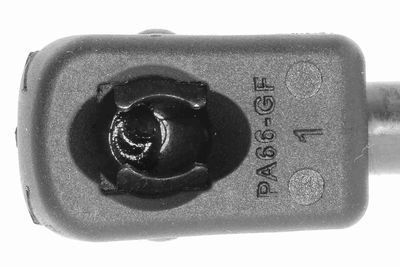 GASFEDER KOFFER-/LADERAUM VAICO V500039 2