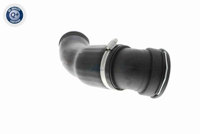 FURTUN EAR SUPRAALIMENTARE VAICO V202969 6