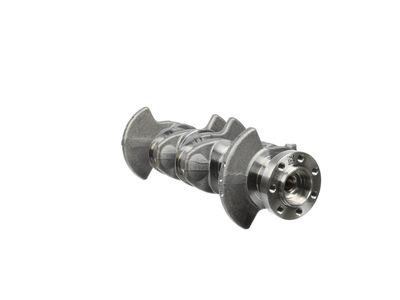 ARBORE COTIT ET ENGINETEAM HK0036 22