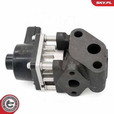 AGR-Ventil SKV 14SKV260