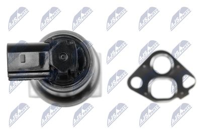 SUPAPA EGR NTY EGRVW001 4