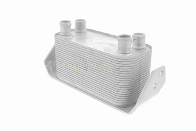 RADIATOR ULEI ULEI MOTOR VEMO V48600030 2