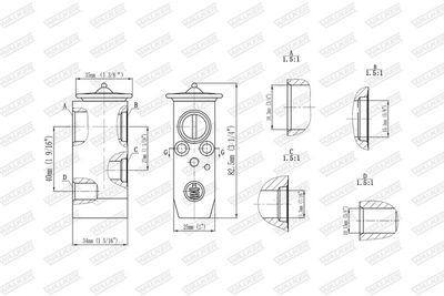SUPAPA EXPANSIUNE CLIMA WALKER WEX00054 6