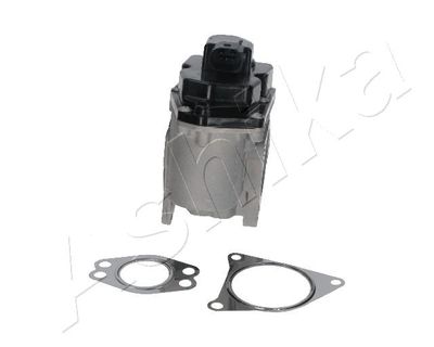 EGR Valve 150-00-0901