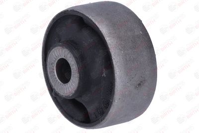 SUPORT TRAPEZ BIRTH 2946 9