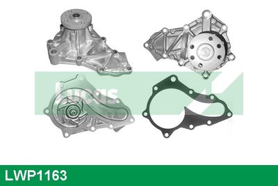 POMPă DE APă RăCIRE MOTOR