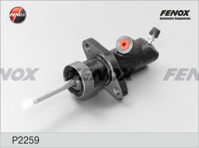 FENOX P2259 Рабочий тормозной цилиндр  для BMW X1 (Бмв X1)