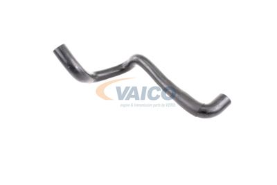 KüHLERSCHLAUCH VAICO V251790 14