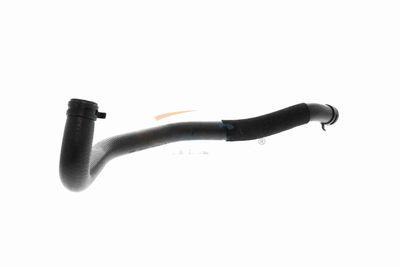 KüHLERSCHLAUCH VAICO V304217 1