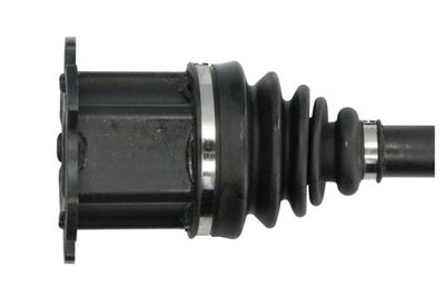 Planetara PASCAL G2A024PC