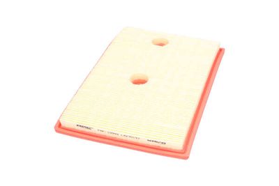 FILTRU AER AMC Filter FAF10999 11