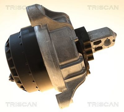 окачване, двигател TRISCAN