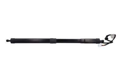 Galinių durų elektros variklis