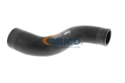 FURTUN EAR SUPRAALIMENTARE VAICO V104668 22