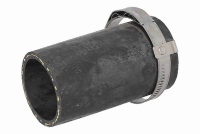 FURTUN EAR SUPRAALIMENTARE ACKOJA A520883 1