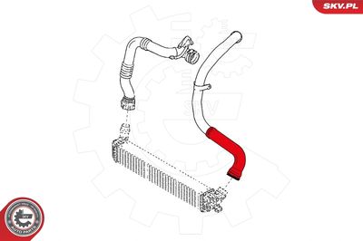 Charge Air Hose 43SKV139