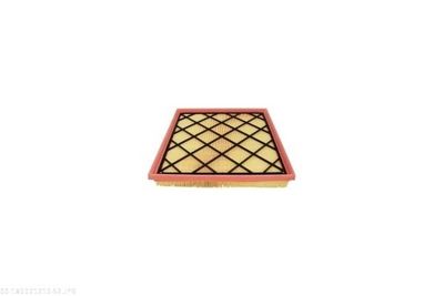 FILTRU AER AUTOMEGA 180021210 3