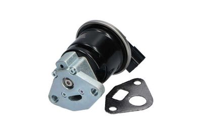 SUPAPA EGR Kavo Parts EEG2003 24