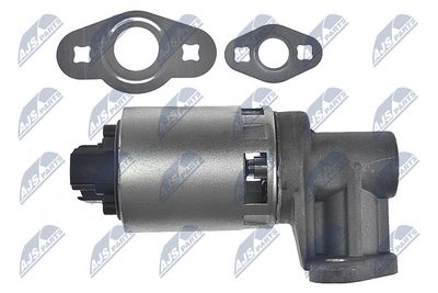 AGR - Ventil NTY EGR-CH-013