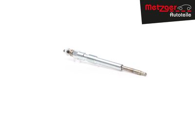 BUJIE INCANDESCENTA METZGER AUTOTEILE H1693 23