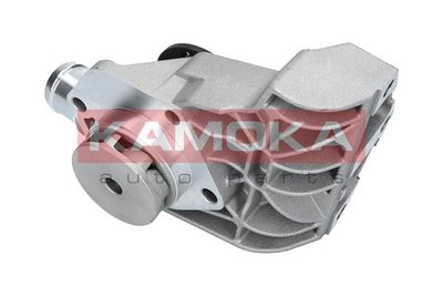 Water Pump, engine cooling T0257