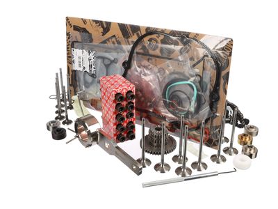 CHIT LANT DE DISTRIBUTIE ET ENGINETEAM RS0043VR4 24