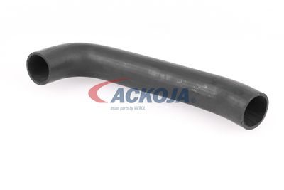 FURTUN EAR SUPRAALIMENTARE ACKOJA A379602 16