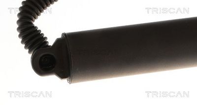 AMORTIZOR PORTBAGAJ TRISCAN 871029334 2