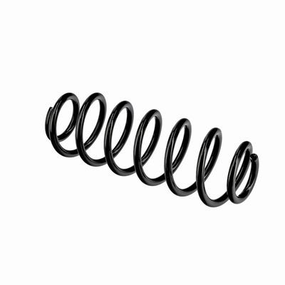 ARC SPIRAL EIBACH R10795 21