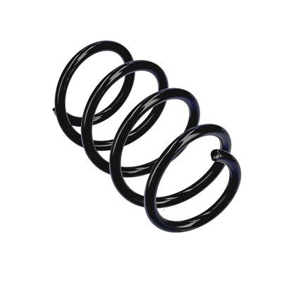 ARC SPIRAL EIBACH R17453 11