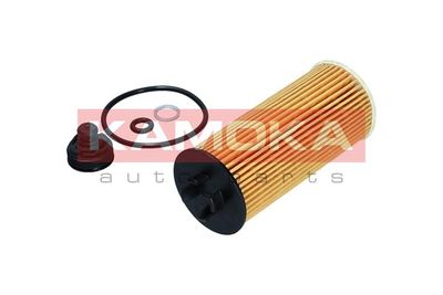 Oil Filter F116101