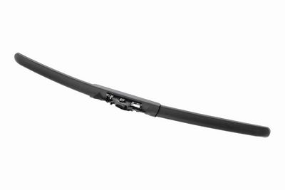 LAMELA STERGATOR ACKOJA A520677 4