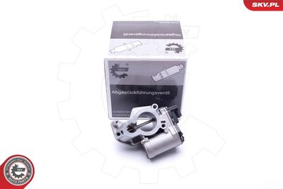 EGR Valve 14SKV184