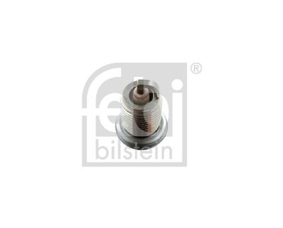 Spark Plug 13462