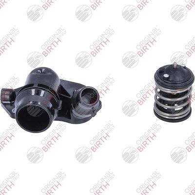 FLANSA LICHID RACIRE BIRTH 81103