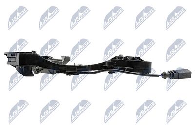 RAMA MANER USA NTY EZCWW313 2
