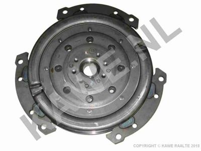 AMORTIZOR TORSIUNE AMBREIAJ