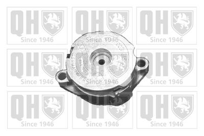 Натяжитель ремня, клиновой зубча QUINTON HAZELL QTA894S для VW VENTO