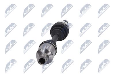 PLANETARA NTY NPWDW076 34