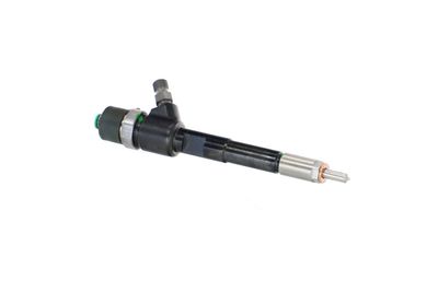 INJECTOR REMANTE 002003002244R 46
