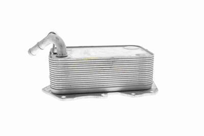 ÖLKüHLER MOTORöL VEMO V15600008 5