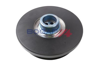 FULIE CUREA ARBORE COTIT BOGAP B1213150 2