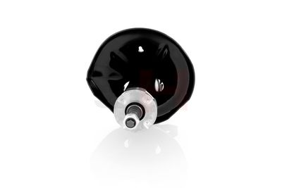 AMORTIZOR GH GH325058H 17