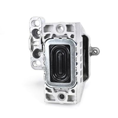 LAGERUNG MOTOR DELPHI TEM273 3