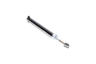 AMORTIZOR Kavo Parts SSA10106 14