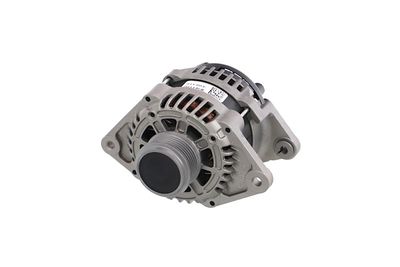 GENERATOR / ALTERNATOR REMANTE 011003001146R 65