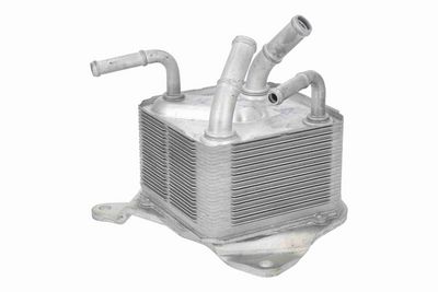 RADIATOR ULEI ULEI MOTOR ACKOJA A37600002 2